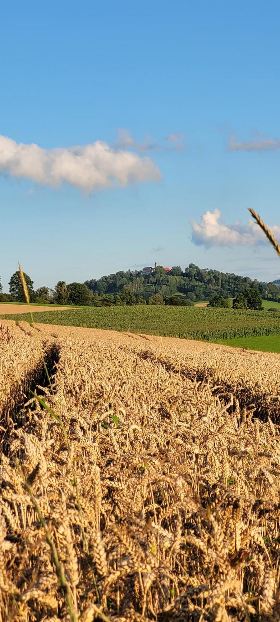 Ferienwohnung Bayerwaldblick Jandelsbrunn Екстер'єр фото