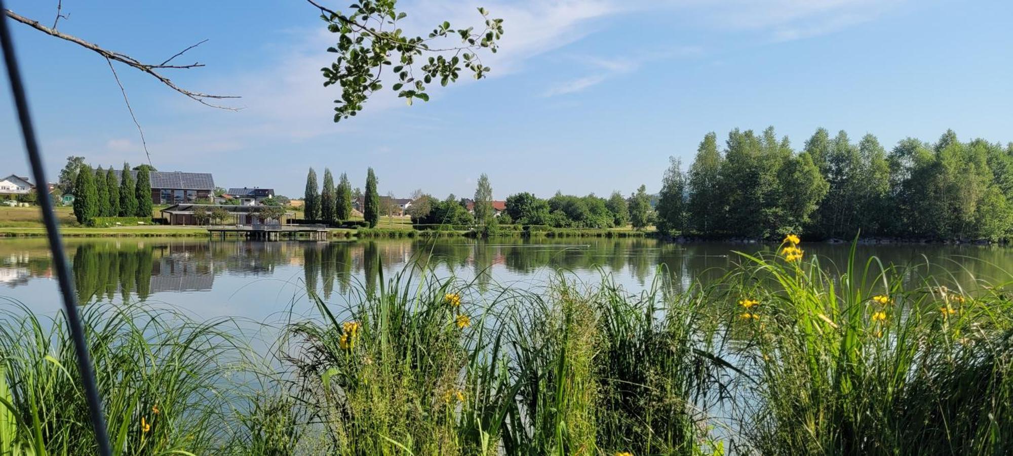 Ferienwohnung Bayerwaldblick Jandelsbrunn Екстер'єр фото