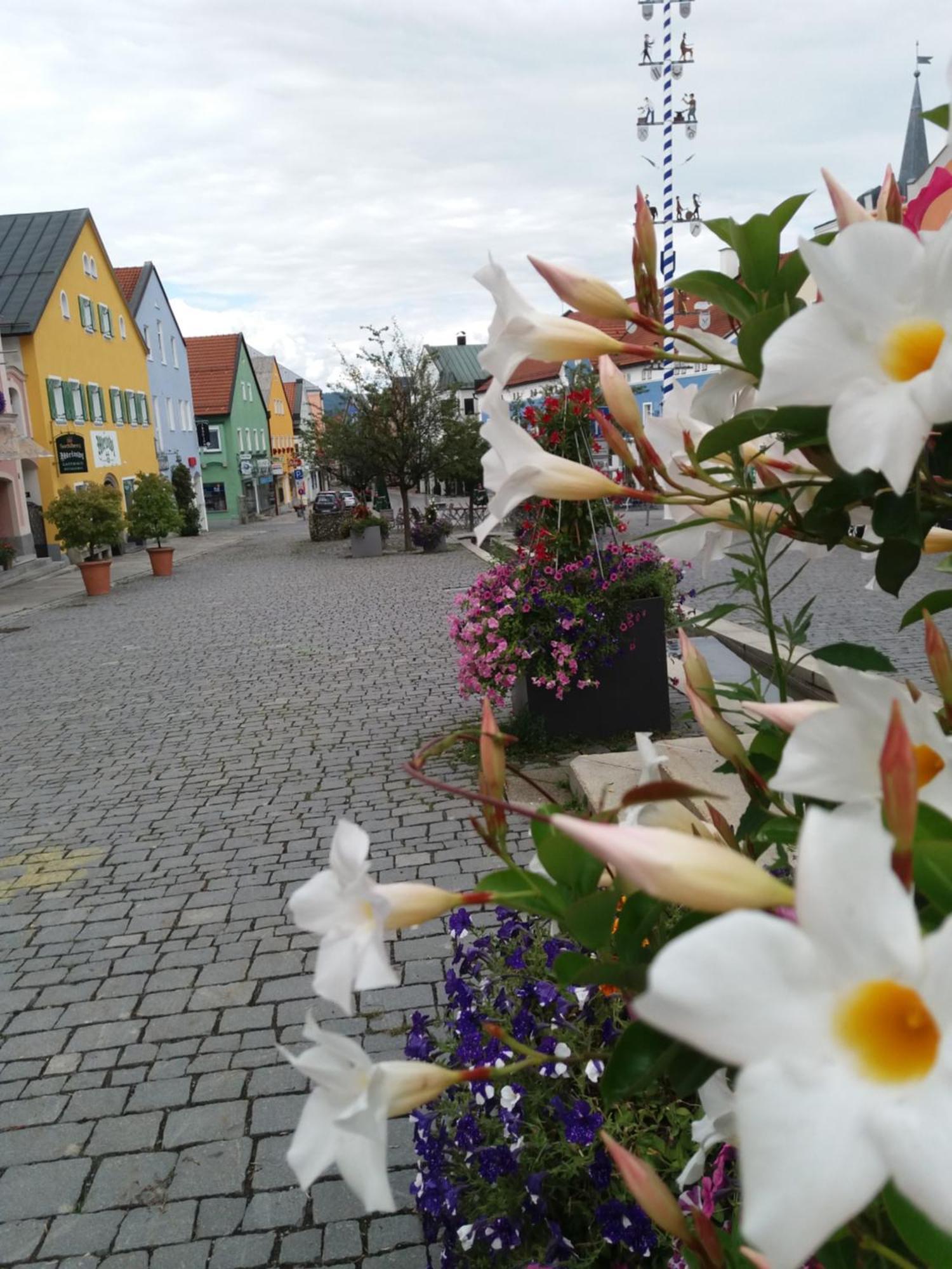 Ferienwohnung Bayerwaldblick Jandelsbrunn Екстер'єр фото