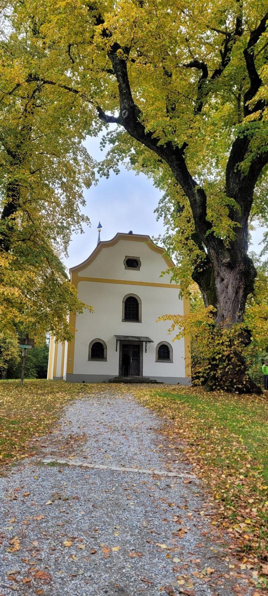 Ferienwohnung Bayerwaldblick Jandelsbrunn Екстер'єр фото