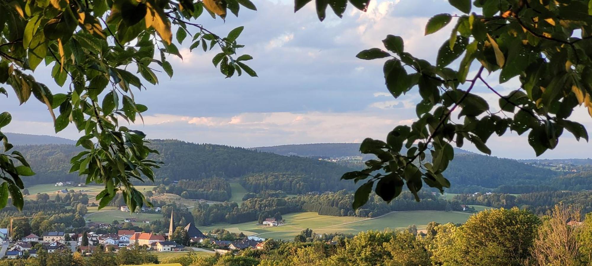 Ferienwohnung Bayerwaldblick Jandelsbrunn Екстер'єр фото