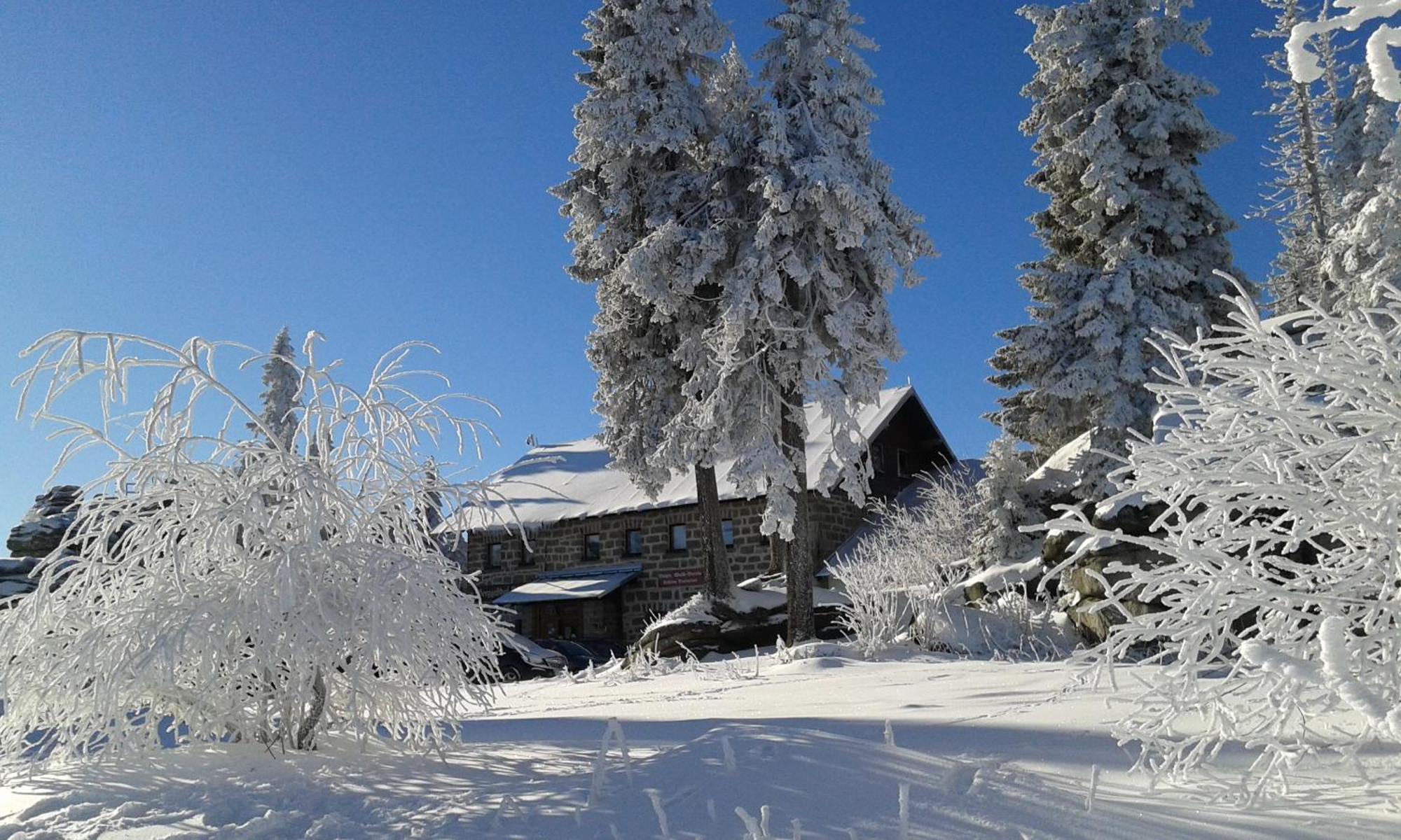 Ferienwohnung Bayerwaldblick Jandelsbrunn Екстер'єр фото