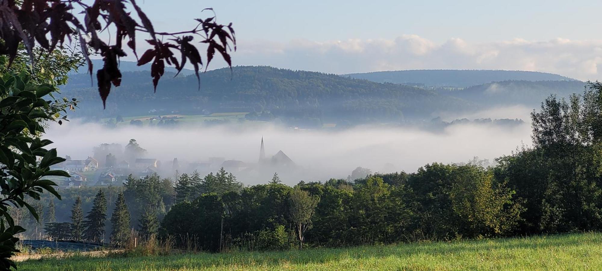 Ferienwohnung Bayerwaldblick Jandelsbrunn Екстер'єр фото